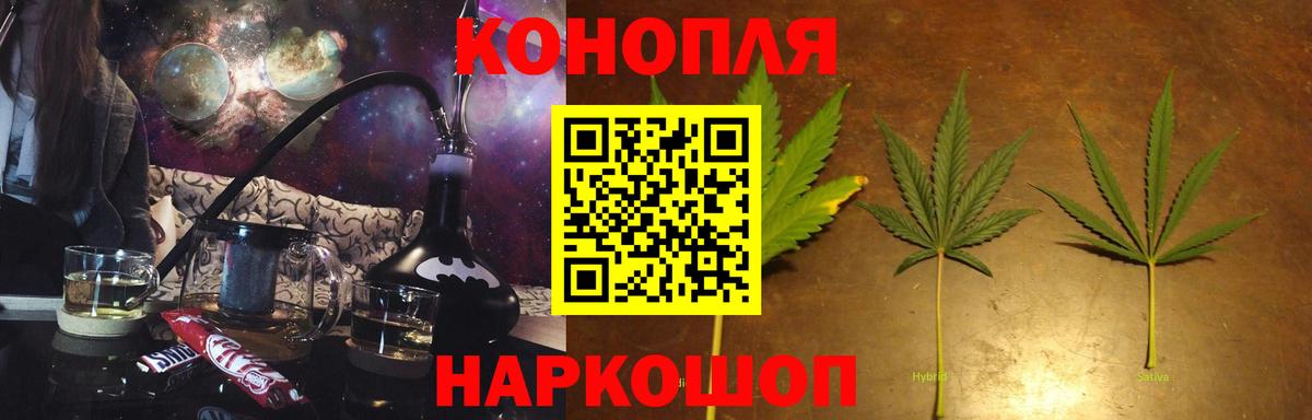 Бошки Шишки MAZAR Алейск